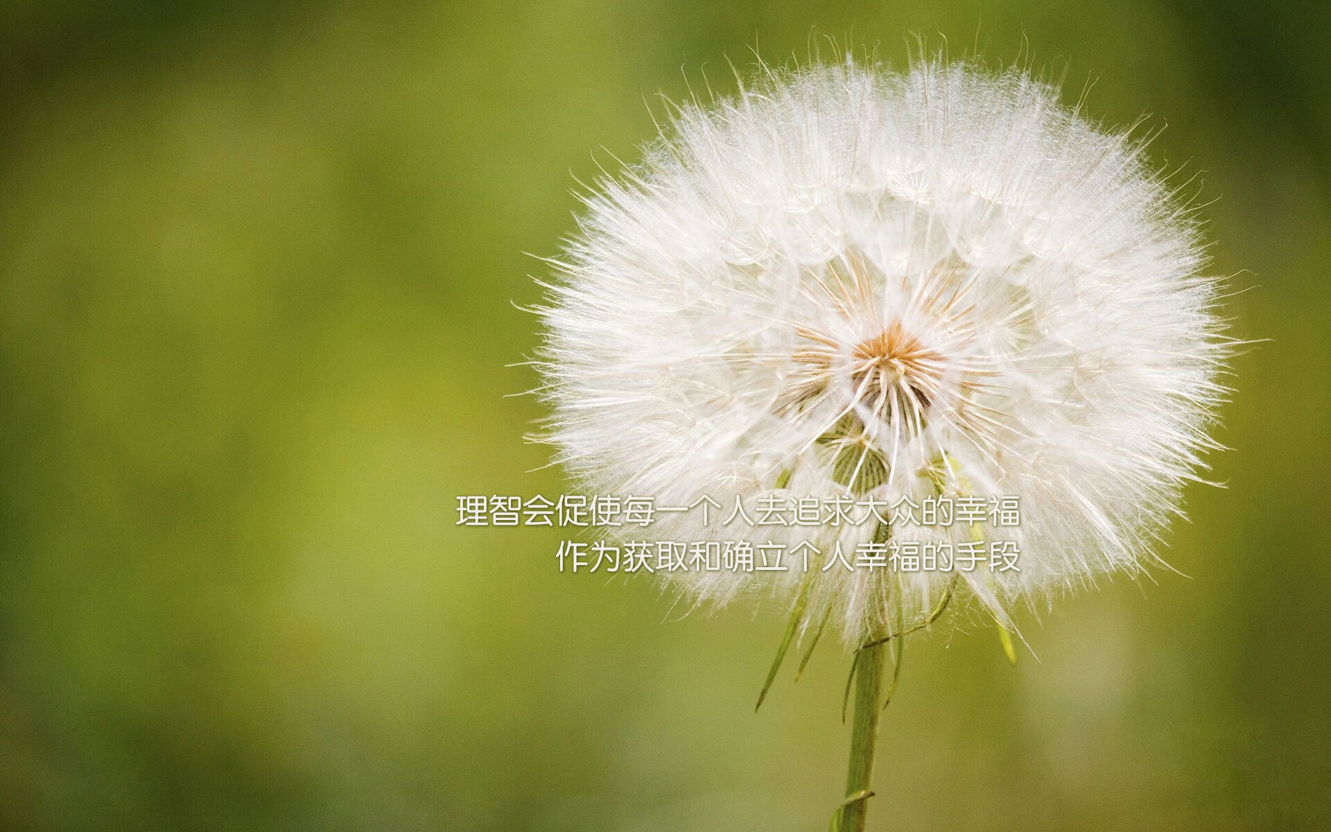 _趣味轮滑比赛:滑出你的青春记忆_,轮滑趣味赛活动主题