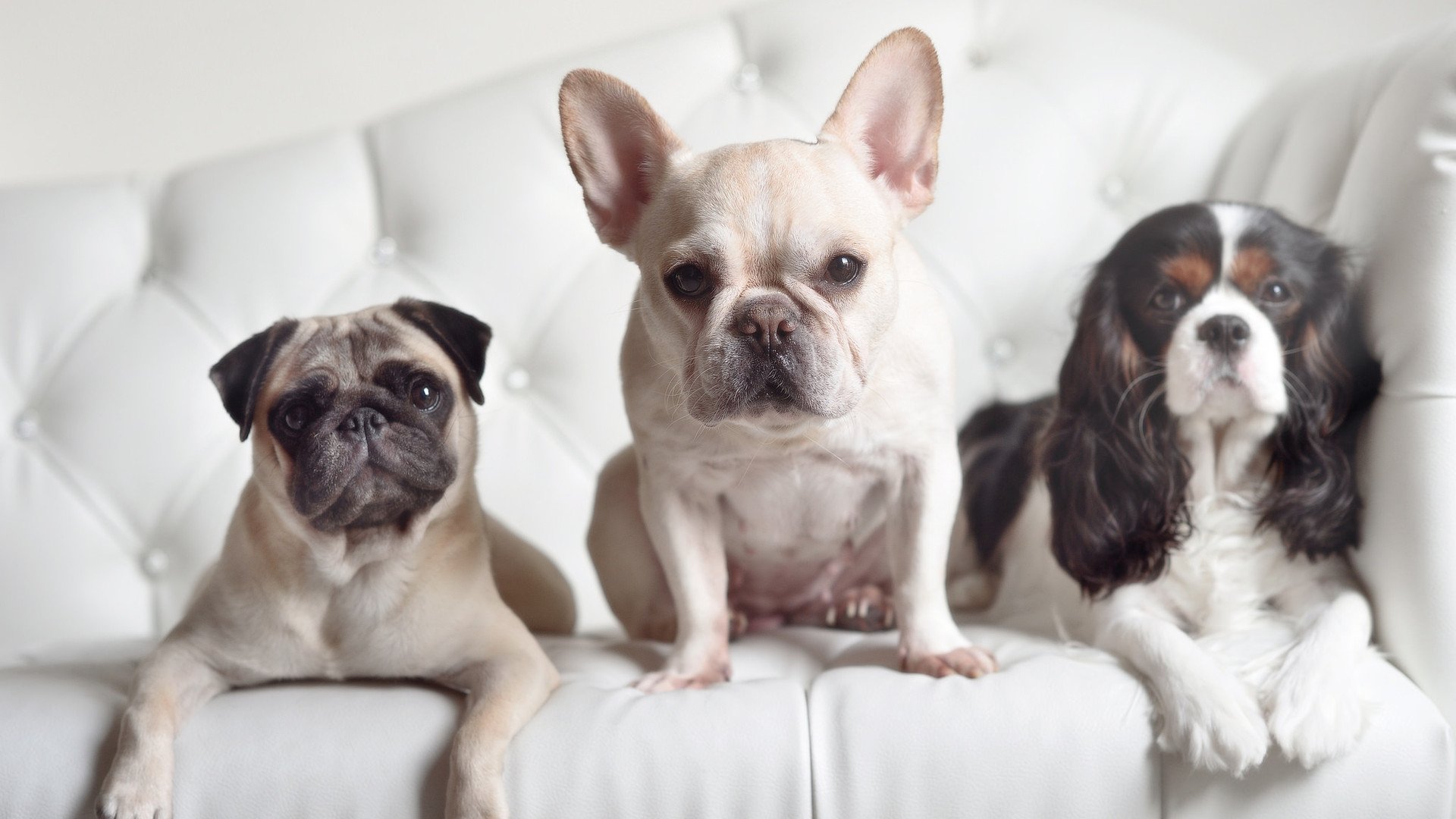 2025年中超联赛全面引入科技手段助力比赛,202l中超