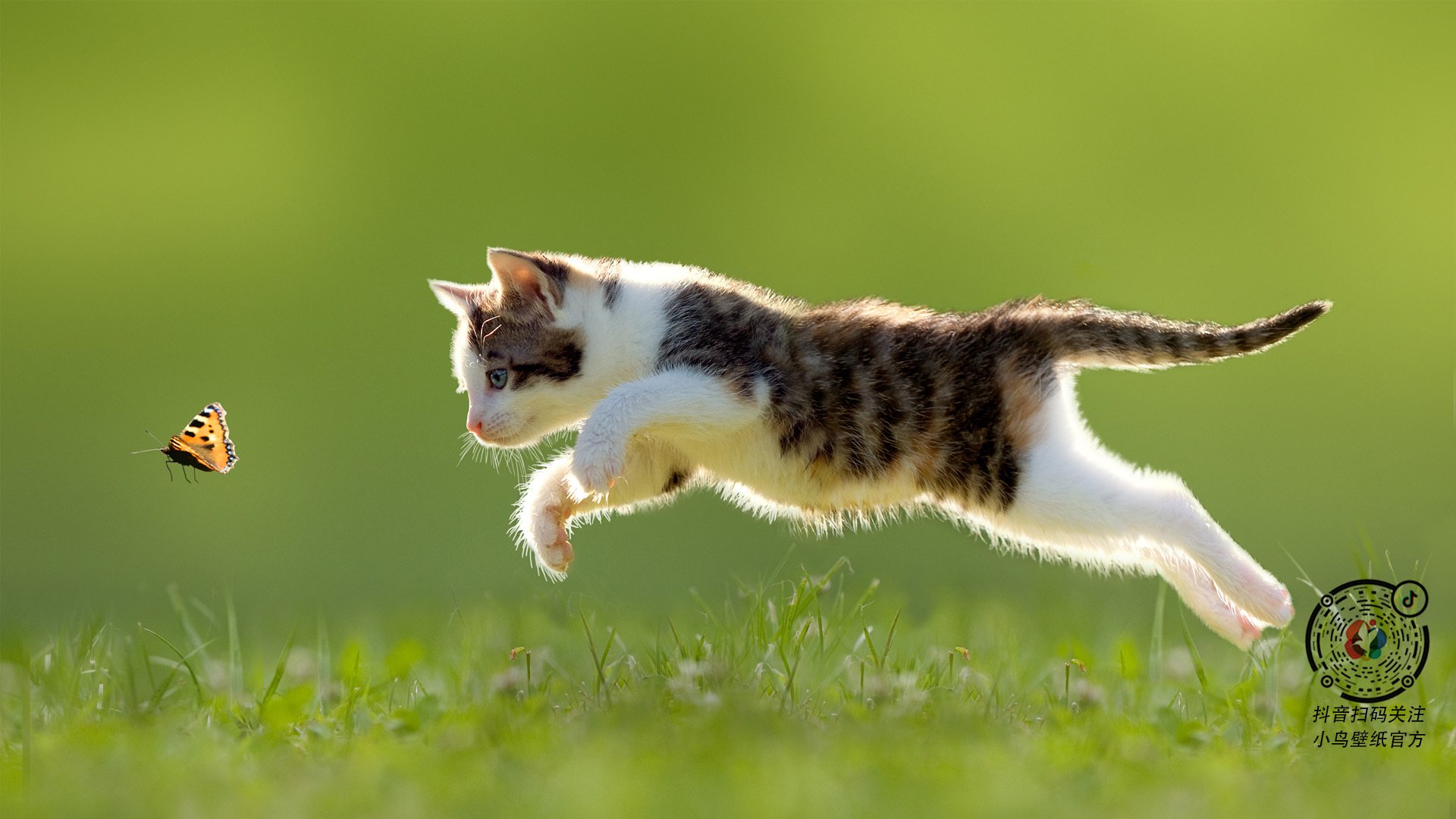 _奇才队士气高涨,期待突破_,奇才队的比赛