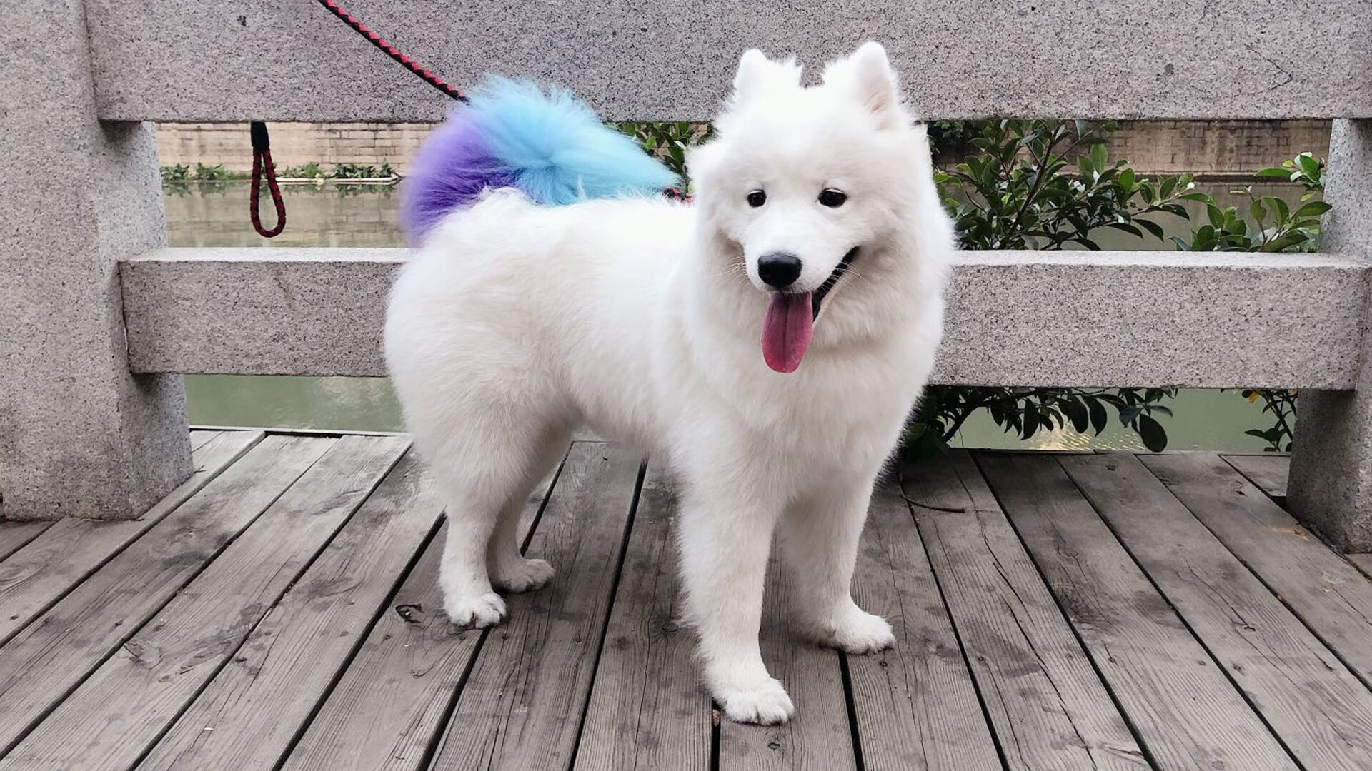 “战术创新：联盟最新的花式打法揭秘”，英雄联盟战术术语