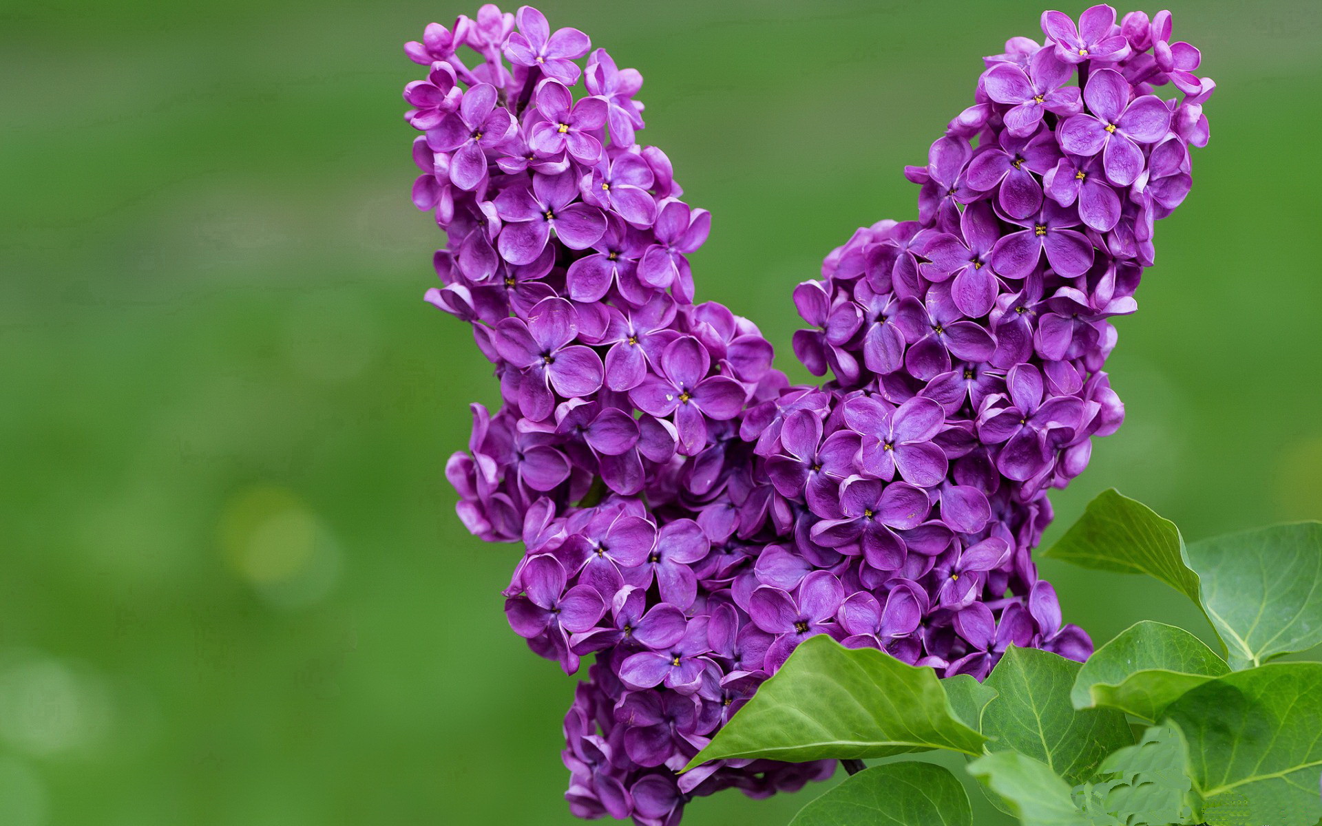 AYX体育官网-“火箭队交易传闻再起，哈登或将离队”，火箭队正式提出哈登交易方案