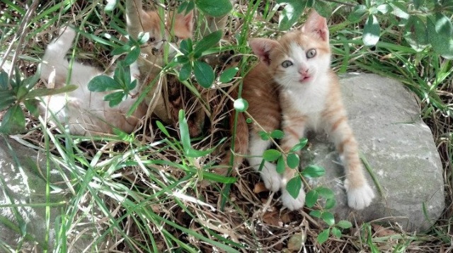 AYX体育官网-【逆境反击】丁俊晖逆转局中的战术布局分析，丁俊晖反败为胜的比赛