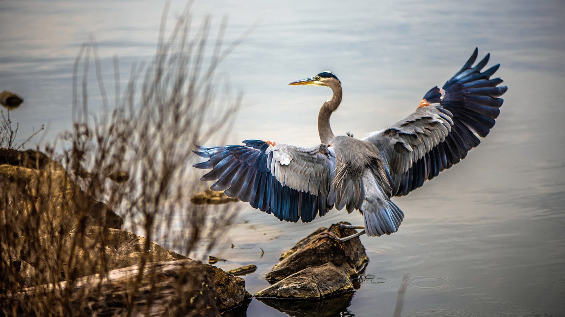 AYX GAMING-切尔西换帅后首次获胜，战术调整见成效，切尔西中途换帅夺欧冠